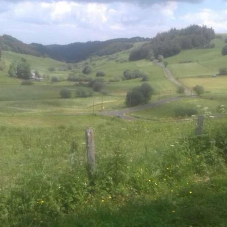 Chalet En Pleine Nature Pour 12 Personnes Besse-et-Saint-Anastaise Buitenkant foto