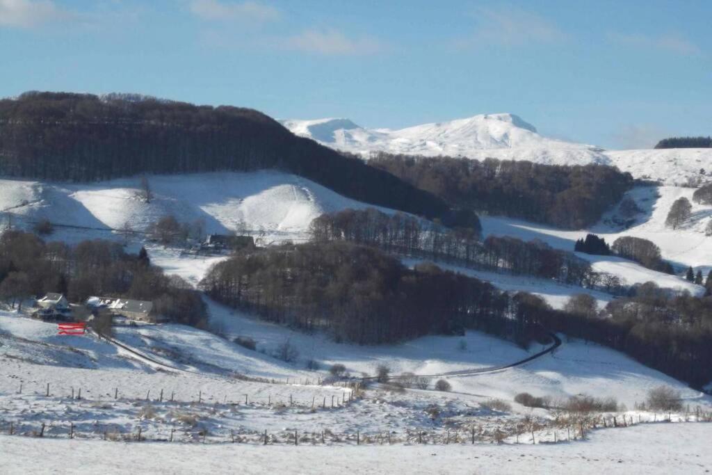 Chalet En Pleine Nature Pour 12 Personnes Besse-et-Saint-Anastaise Buitenkant foto